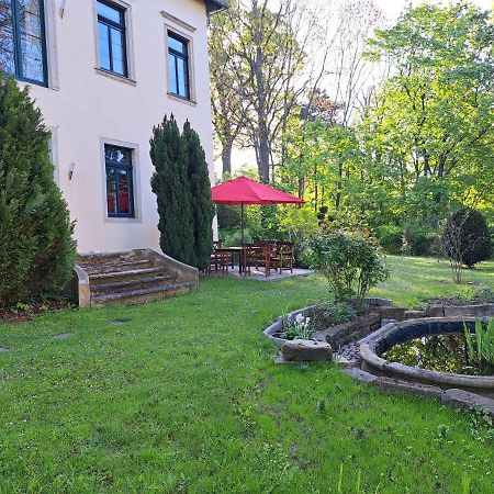Gaestehaus Villa Seraphinum Drezda Kültér fotó